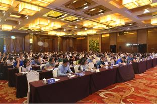 深度票据网2019商票生态峰会暨票据经纪商转型研讨会隆重举行，共绘贸易经纪新蓝图